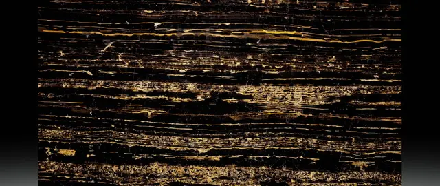 Golden Black