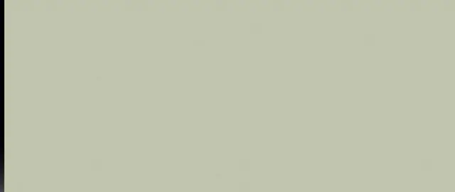 Seagrass