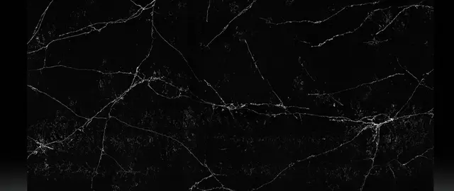Unique Noir Marquina